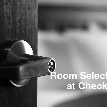 Alpina Deluxe 호텔